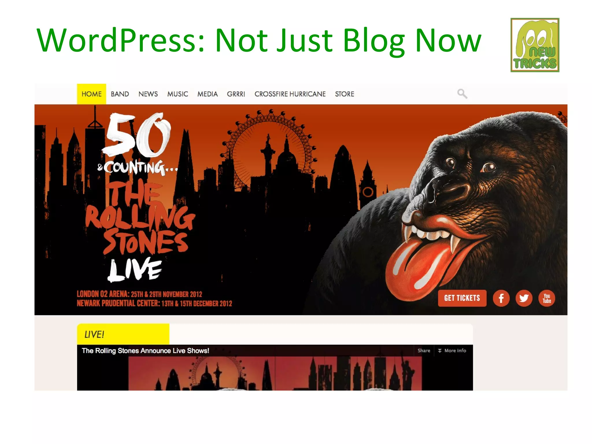 WordPress: Not Just Blog Now
 