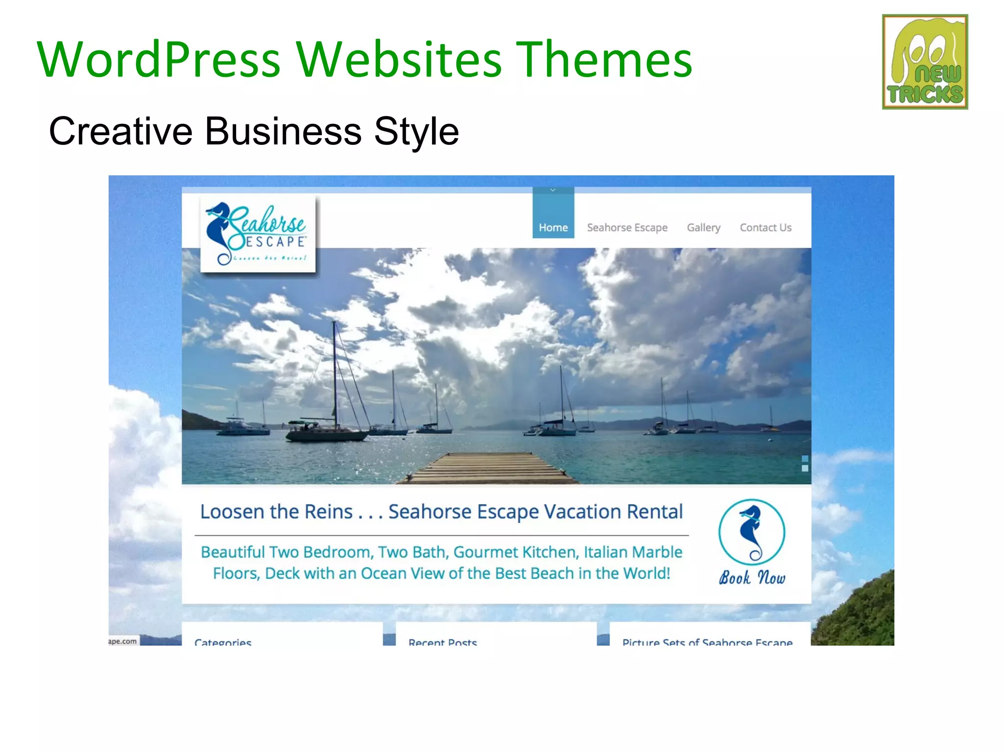 WordPress Websites Themes
Creative Business Style
 