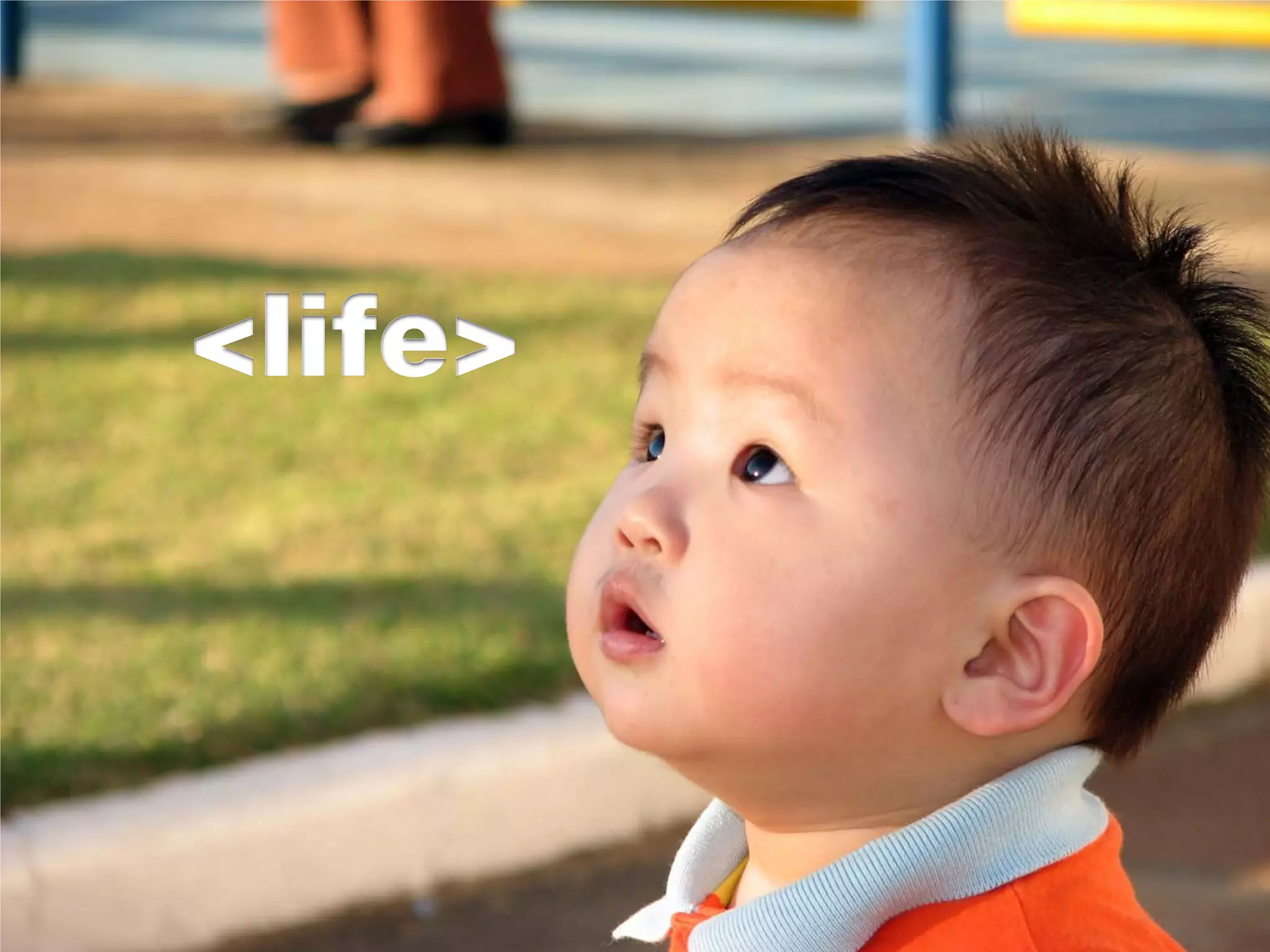 <life>
 