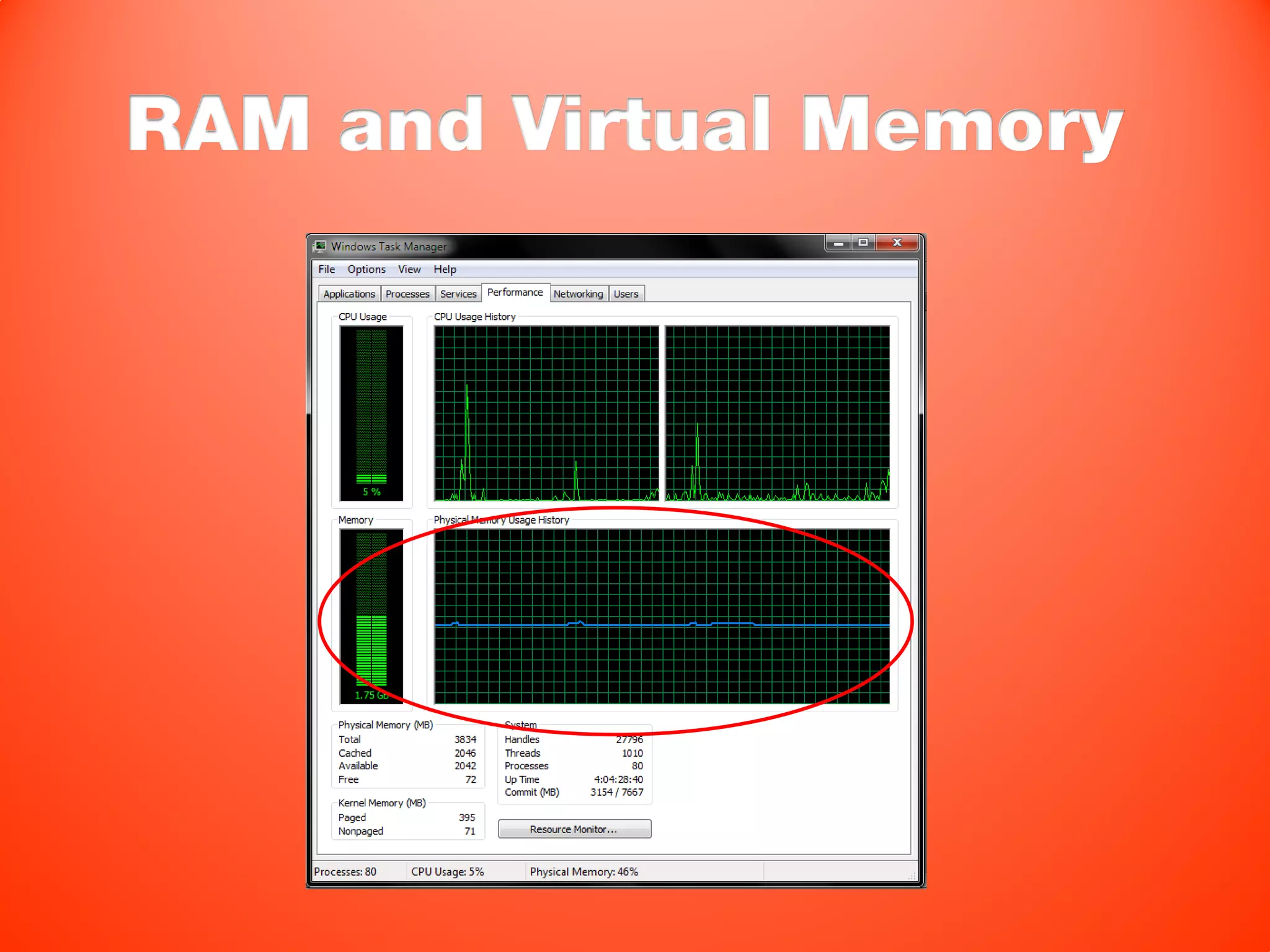 RAM and Virtual Memory
 