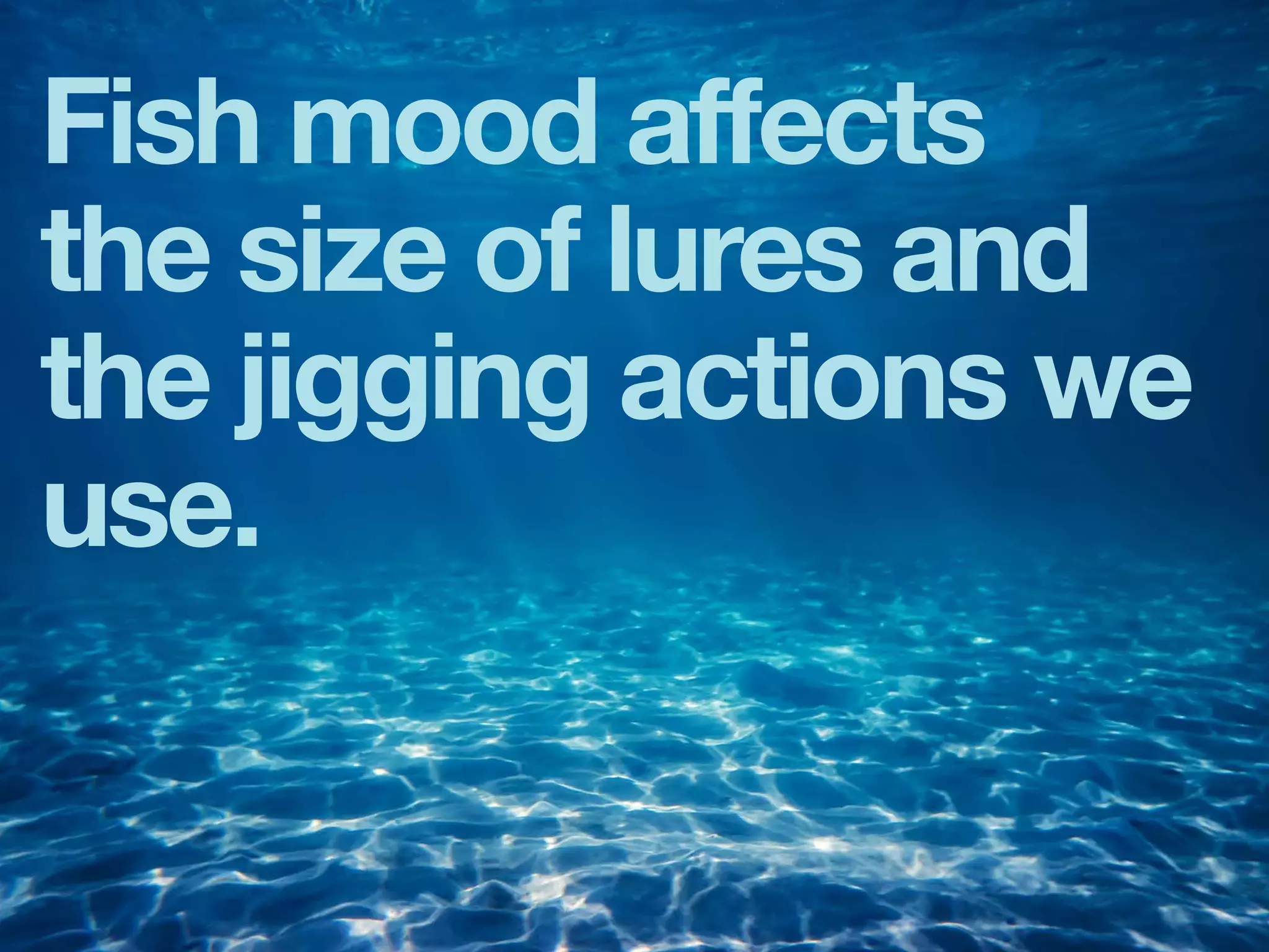 Fish mood affects
the size of lures and
the jigging actions we
use.
 
