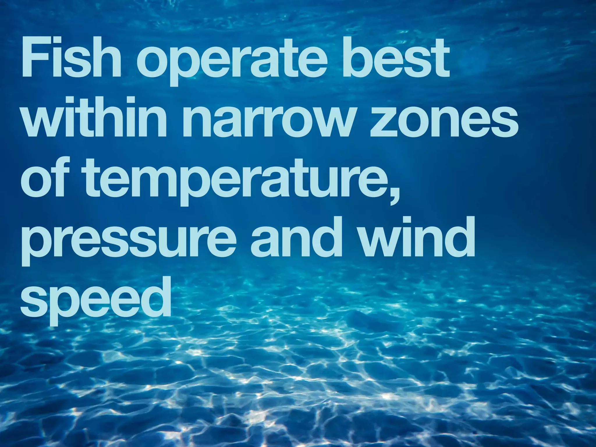 Fish operate best
within narrow zones
of temperature,
pressure and wind
speed
 