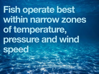Fish operate best
within narrow zones
of temperature,
pressure and wind
speed
 