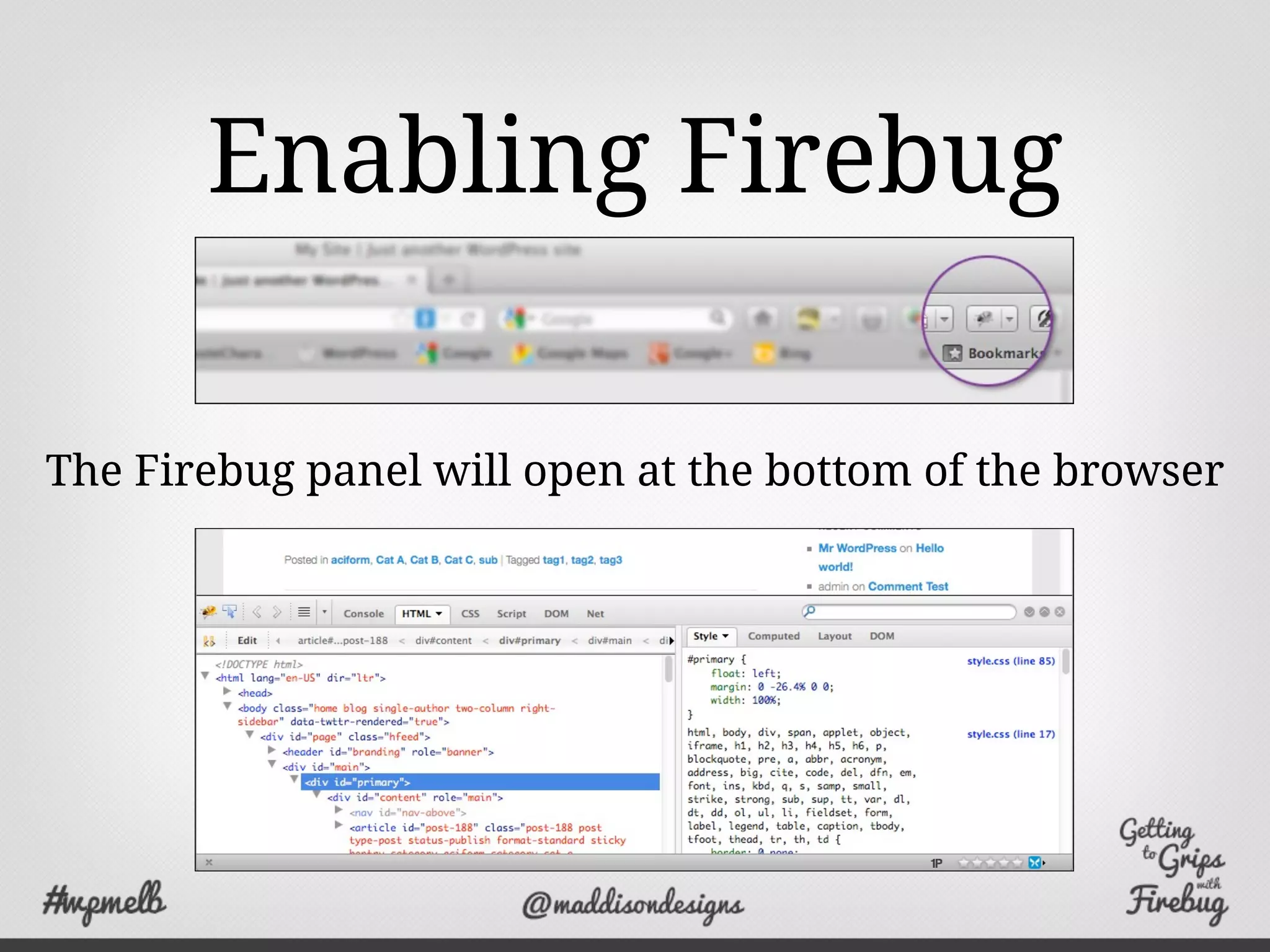 Enabling Firebug
The Firebug panel will open at the bottom of the browser
 