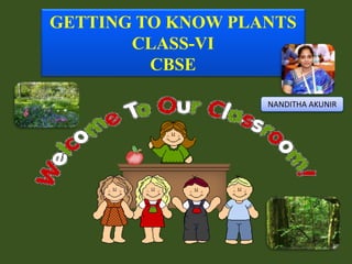 GETTING TO KNOW PLANTS
CLASS-VI
CBSE
NANDITHA AKUNIR
 