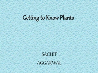Getting to Know Plants
SACHIT
AGGARWAL
 