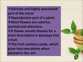 Delicate and highly specialized
part of the shoot
Reproductive part of a plant.
Most flowers are colorful,
scented and attractive.
A flower usually blooms for a
short time before it develops into
a fruit.
The fruit contains seeds, which
grow into new plants when
planted in the soil.
 