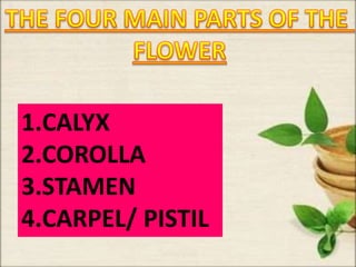 1.CALYX
2.COROLLA
3.STAMEN
4.CARPEL/ PISTIL
 