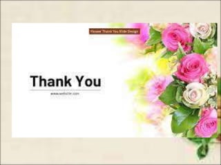 Getting to know plants