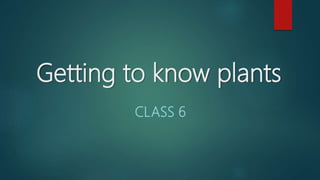 Getting to know plants
CLASS 6
 