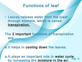 Page 16
Functions of leaf
• Leaves release water from the plant
through stomata, which is called
transpiration.
The 2 important functions of transpiration
are:
a.It helps in cooling down the leaves.
a.It plays an important role in water cycle,
by increasing the moisture in the air.
 