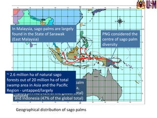 Geographical	
  distribu.on	
  of	
  sago	
  palms	
  
Most	
  of	
  the	
  2.6	
  million	
  ha	
  of	
  sago	
  palm	
  
in	
  the	
  world	
  is	
  found	
  in	
  tropical	
  Asia,	
  
mainly	
  in	
  PNG	
  (41%	
  of	
  the	
  global	
  total)	
  
and	
  Indonesia	
  (47%	
  of	
  the	
  global	
  total)	
  
~	
  2.6	
  million	
  ha	
  of	
  natural	
  sago	
  
forests	
  out	
  of	
  20	
  million	
  ha	
  of	
  total	
  
swamp	
  area	
  in	
  Asia	
  and	
  the	
  Paciﬁc	
  
Region	
  -­‐	
  untapped/largely	
  
unexploited	
  
PNG	
  considered	
  the	
  
centre	
  of	
  sago	
  palm	
  
diversity	
  
In	
  Malaysia,	
  sago	
  palms	
  are	
  largely	
  	
  
found	
  in	
  the	
  State	
  of	
  Sarawak	
  	
  
(East	
  Malaysia)	
  
 