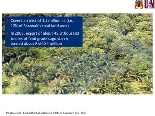 }  Covers	
  an	
  area	
  of	
  1.5	
  million	
  ha	
  (i.e.,	
  
12%	
  of	
  Sarawak’s	
  total	
  land	
  area)	
  
}  In	
  2005,	
  export	
  of	
  about	
  45.3	
  thousand	
  
tonnes	
  of	
  food	
  grade	
  sago	
  starch	
  
earned	
  about	
  RM40.4	
  million	
  
Photo	
  credit:	
  Abdullah	
  Chek	
  Sahamat,	
  CRAUN	
  Research	
  Sdn.	
  Bhd.	
  
 