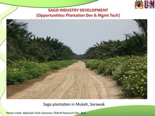 Sago	
  planta.on	
  in	
  Mukah,	
  Sarawak	
  
Photo	
  credit:	
  Abdullah	
  Chek	
  Sahamat,	
  CRAUN	
  Research	
  Sdn.	
  Bhd.	
  
SAGO	
  INDUSTRY	
  DEVELOPMENT	
  
(Opportunities:	
  Plantation	
  Dev	
  &	
  Mgmt	
  Tech)	
  
 