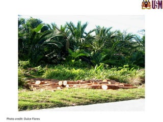 Photo	
  credit:	
  Dulce	
  Flores	
  
 