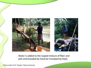 Photo	
  credit:	
  Prof.	
  Toyoda,	
  Tokyo	
  University	
  
	
  
Water	
  is	
  added	
  to	
  the	
  rasped	
  mixture	
  of	
  ﬁber	
  and	
  
pith	
  and	
  kneaded	
  by	
  hand	
  (or	
  trampled	
  by	
  foot)	
  
 