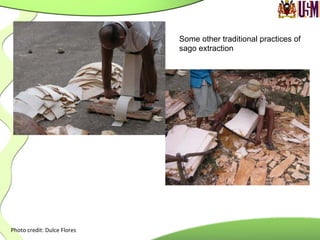 Photo	
  credit:	
  Dulce	
  Flores	
  
	
  
Some other traditional practices of
sago extraction
 