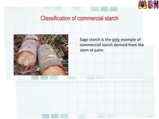 Classification of commercial starch
Sago	
  starch	
  is	
  the	
  only	
  example	
  of	
  
commercial	
  starch	
  derived	
  from	
  the	
  
stem	
  of	
  palm	
  
 