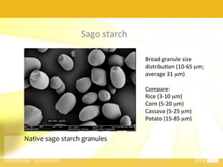 Sago	
  starch	
  
Native	
  sago	
  starch	
  granules	
  
	
  
	
  
	
  
Broad	
  granule	
  size	
  
distribu.on	
  (10-­‐65	
  µm;	
  
average	
  31	
  µm)	
  
	
  
Compare:	
  
Rice	
  (3-­‐10	
  µm)	
  
Corn	
  (5-­‐20	
  µm)	
  
Cassava	
  (5-­‐25	
  µm)	
  
Potato	
  (15-­‐85	
  µm)	
  
 