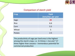 Comparison of starch yield
Crop	
   Yield	
  	
  
(tons/ha)	
  	
  per	
  year	
  
Sago	
   24	
  
Rice	
   6.6	
  
Corn	
   5.5	
  
Wheat	
   5	
  
Potato	
   2.5	
  
The	
  produc.vity	
  of	
  sago	
  per	
  land	
  area	
  is	
  the	
  highest	
  
among	
  the	
  starch	
  crops,	
  i.e.	
  3-­‐4	
  .mes	
  >	
  rice	
  and	
  ~17	
  
.mes	
  higher	
  than	
  cassava	
  –	
  tremendous	
  poten.al	
  for	
  
commercial	
  produc.on	
  
 
