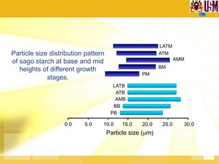 Particle size distribution pattern
of sago starch at base and mid
heights of different growth
stages.
0.0 5.0 10.0 15.0 20.0 25.0 30.0
LATM
ATM
AMM
BM
PM
LATB
ATB
AMB
BB
PB
Particle size (µm)
 