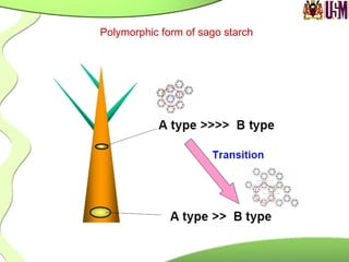 Polymorphic form of sago starch
 