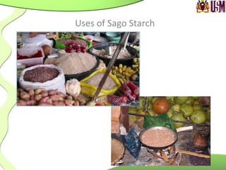 Uses	
  of	
  Sago	
  Starch	
  
 