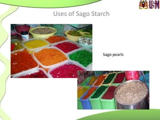 Uses	
  of	
  Sago	
  Starch	
  
Sago	
  pearls	
  
 