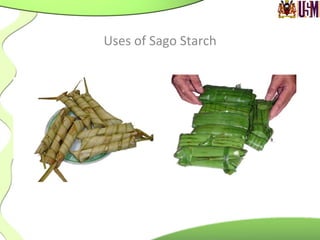 Uses	
  of	
  Sago	
  Starch	
  
 