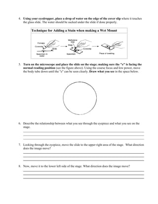 4. Using your eyedropper, place a drop of water on the edge of the cover slip where it touches
   the glass slide. The water should be sucked under the slide if done properly.

          Technique for Adding a Stain when making a Wet Mount




5. Turn on the microscope and place the slide on the stage; making sure the "e" is facing the
   normal reading position (see the figure above). Using the course focus and low power, move
   the body tube down until the "e" can be seen clearly. Draw what you see in the space below.




6. Describe the relationship between what you see through the eyepiece and what you see on the
   stage.
   ______________________________________________________________________________
   ______________________________________________________________________________
   ______________________________________________________________________________

7. Looking through the eyepiece, move the slide to the upper right area of the stage. What direction
   does the image move?
   ______________________________________________________________________________
   ______________________________________________________________________________
   ______________________________________________________________________________

8. Now, move it to the lower left side of the stage. What direction does the image move?
   ______________________________________________________________________________
   ______________________________________________________________________________
   ______________________________________________________________________________
 