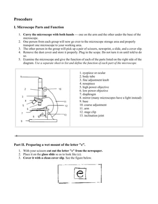 Microscope Lab Letter E