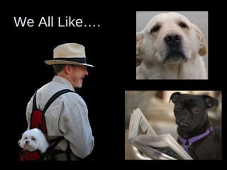 We All Like….
 