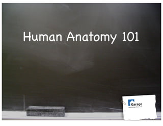 Human Anatomy 101
 