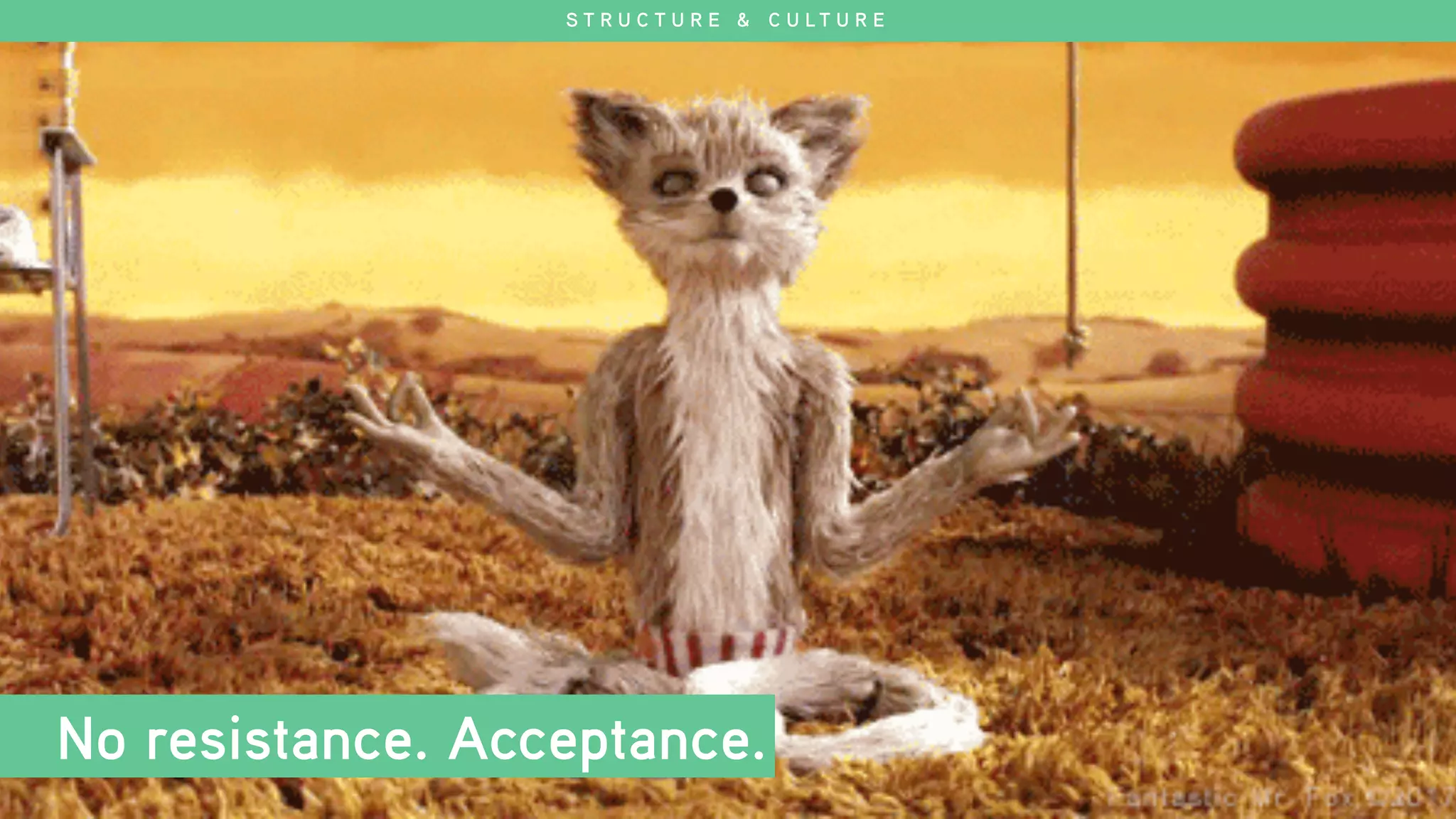 No resistance. Acceptance.
S T R U C T U R E & C U L T U R E
 