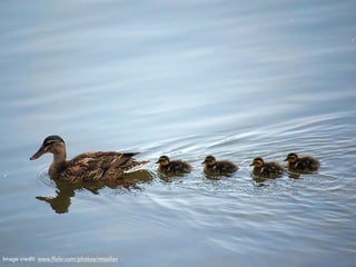 Image credit: www.flickr.com/photos/mtsofan
 