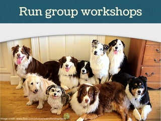 Run group workshops
Image credit: www.flickr.com/photos/australianshepherds
 