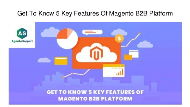 Get To Know 5 Key Features Of Magento B2B Platform
 