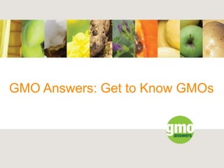 GMO Answers: Get to Know GMOs
 