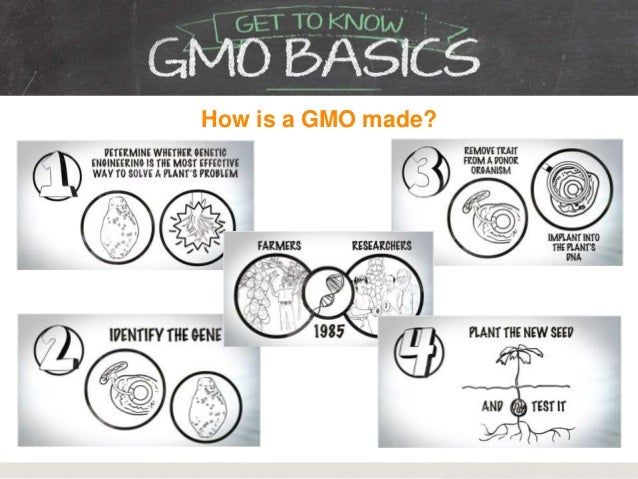 Get To Know GMOs by GMO Answers
