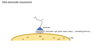EEG electrode movement
electrode
e-
e-
electrolite = gel, paste, water, sweat, … something with ions
+
-
-
+ +
-
scalp
Cl-
Cl-
Cl-
K+
Na+
Ca2+ Cl-
 