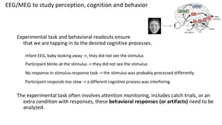 EEG/MEG to study perception, cognition and behavior
Experimental task and behavioral readouts ensure
that we are tapping in to the desired cognitive processes.
Infant EEG, baby looking away ->, they did not see the stimulus
Participant blinks at the stimulus -> they did not see the stimulus
No response in stimulus-response task -> the stimulus was probably processed differently
Participant responds too slow -> a different cognitive process was interfering
The experimental task often involves attention monitoring, includes catch trials, or an
extra condition with responses, these behavioral responses (or artifacts) need to be
analyzed.
 