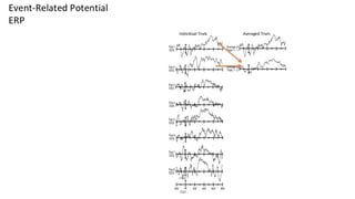 Individual Trials Averaged Trials
Event-Related Potential
ERP
 