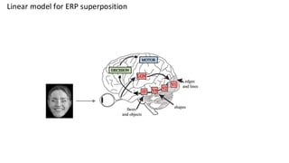 Linear model for ERP superposition
 
