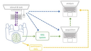 EEG
system
acquisition
analysis
stimuli & task
participant
data
 