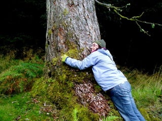 Get to know your inner world