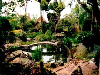 Get to know your inner world