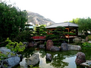 Get to know your inner world