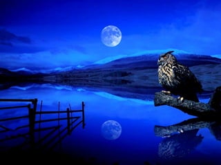 Get to know your inner world