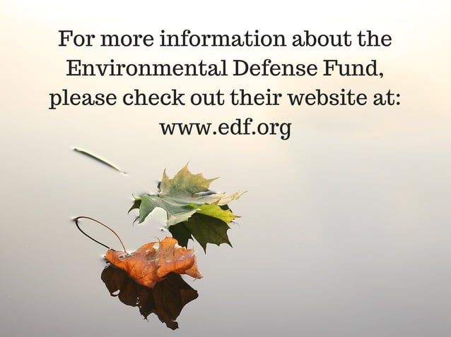 What is the Environmental Defense Fund PPT