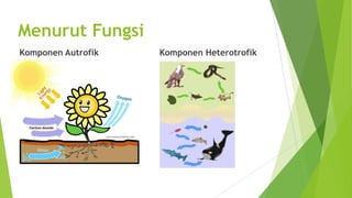 Menurut Fungsi
Komponen Autrofik

Komponen Heterotrofik

 